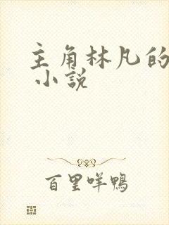 主角林凡的小说 小说封面
