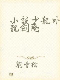 小说少龙外传之龙剑飞