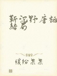 靳沉野唐栖雾大结局