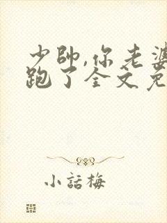 少帅,你老婆又跑了全文免费阅读