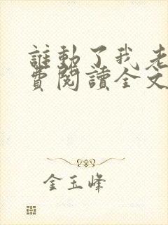 谁动了我老婆免费阅读全文封面