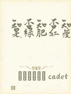 知否知否知否应是绿肥红瘦县主封面