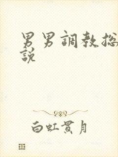 男男调教总裁小说