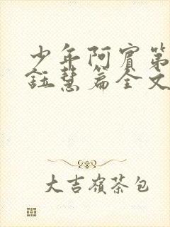 少年阿宾第二部钰慧篇全文目录