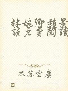 林婉卿赵景玄小说免费阅读最新章节