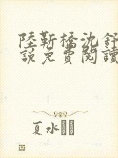 陆靳桥沈舒宁小说免费阅读最新章节