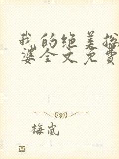 我的绝美总裁老婆全文免费阅读封面