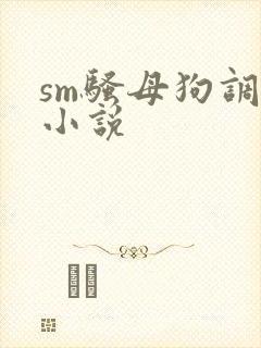sm骚母狗调教小说