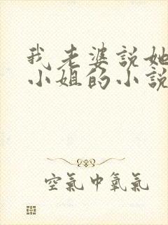 我老婆说她想当小姐的小说