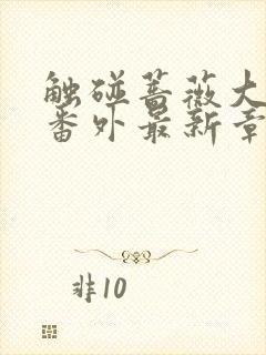 触碰蔷薇大结局番外最新章节封面