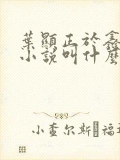 叶显正于鑫原著小说叫什么封面