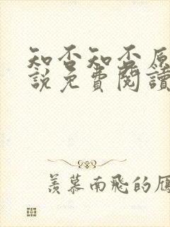 知否知否原著小说免费阅读