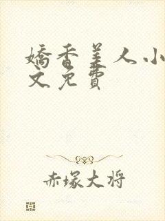 娇香美人小说全文免费