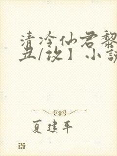 清冷仙君黎锦【丑/攻】小说