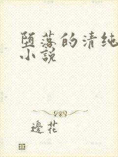 堕落的清纯校花小说