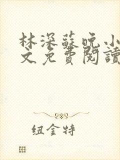 林深苏晚小说全文免费阅读封面