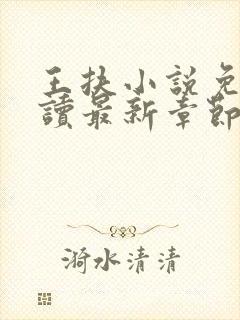 王扶小说免费阅读最新章节无弹窗封面