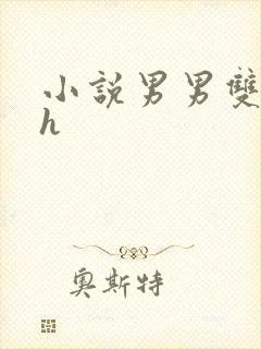小说男男双性高h