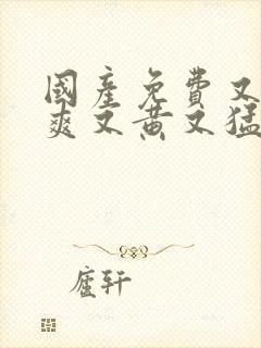 国产免费又色又爽又黄又猛