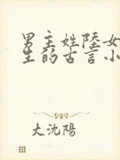 男主姓陆女主重生的古言小说