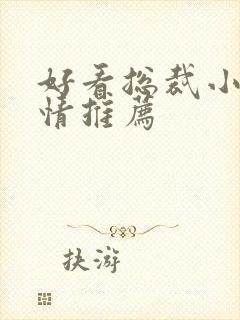 好看总裁小说言情推荐封面