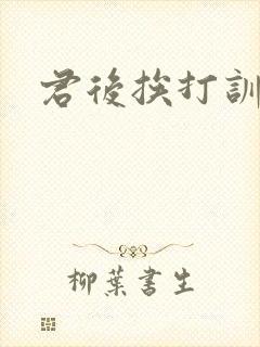 君后挨打训诫文封面