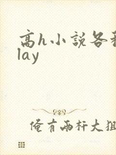 高h小说各种play