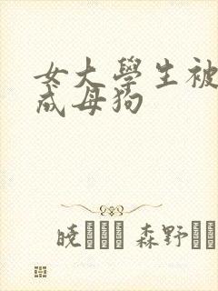 女大学生被调教成母狗封面