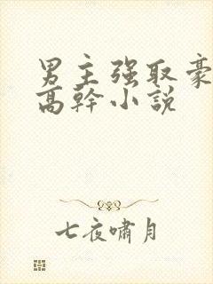 男主强取豪夺的高干小说