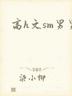 高h文sm男男封面