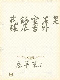 我的室友是直男张辰番外