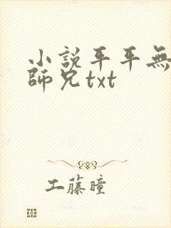 小说平平无奇大师兄txt