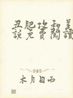 丑肥攻和美人小说免费阅读封面