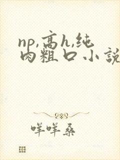 np,高h,纯肉粗口小说