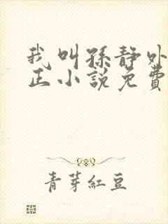 我叫孙静外甥小正小说免费阅读