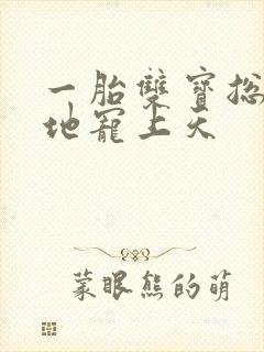 一胎双宝总裁爹地宠上天