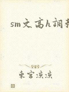 sm文高h调教