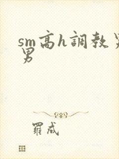 sm高h调教男男