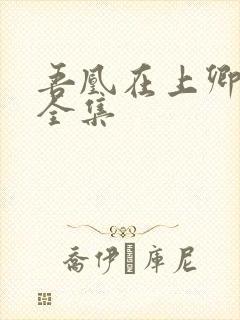 吾凰在上卿在下全集封面