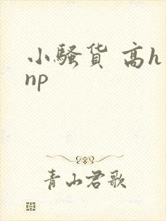 小骚货 高h np