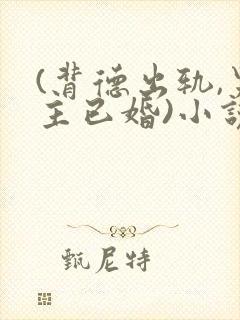 (背德出轨,男主已婚)小说