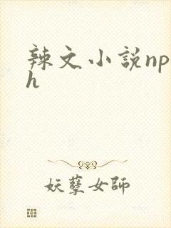 辣文小说np高h封面