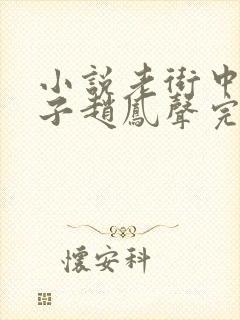 小说老街中的痞子赵凤声完全版