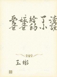 受嫁给了渣攻的爸爸的小说