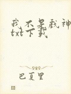 我不是戏神小说txt下载