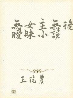 无女主无后宫无暧昧小说封面