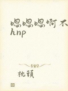 嗯嗯嗯啊不要高hnp封面