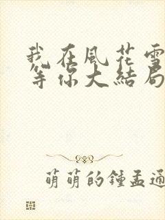 我在风花雪月中等你大结局