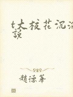 t大校花沉沦小说封面