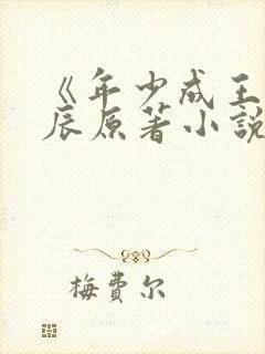 《年少成王》晓辰原著小说免费阅读